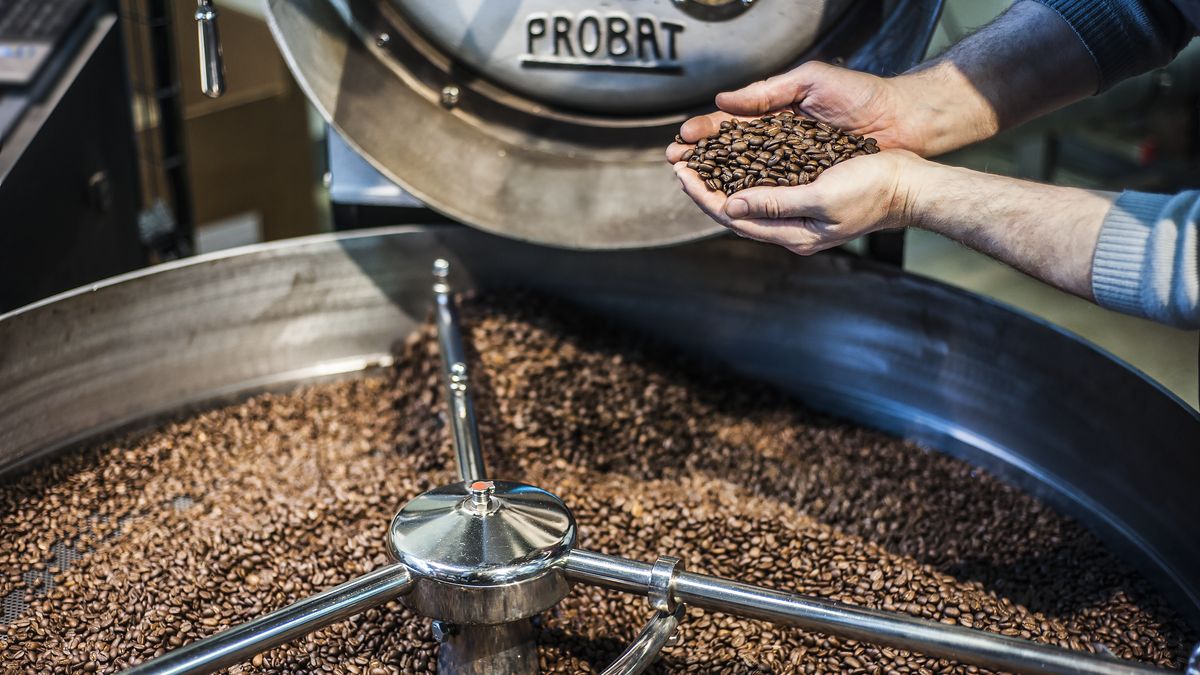 Dvojsečná regulace EU na dovoz kávy: Zasáhne drobné pěstitele z Afriky